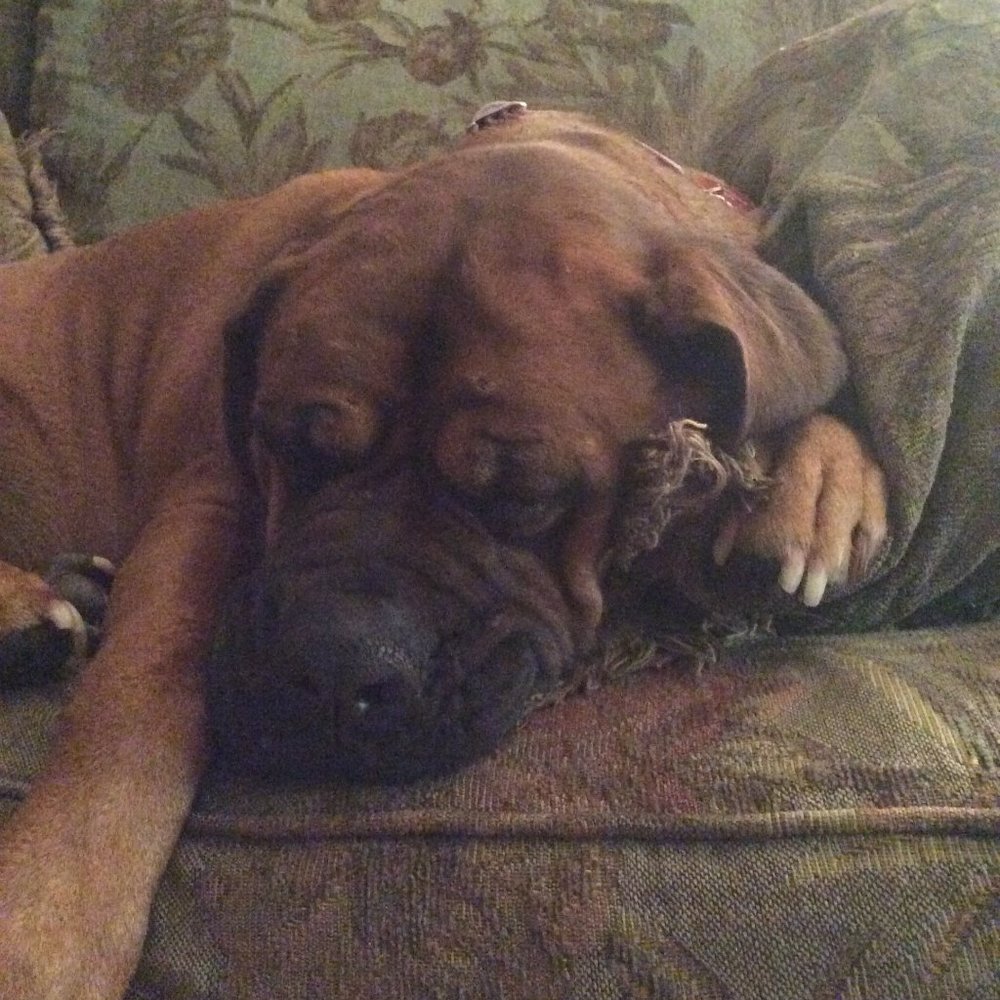 Meet your Posher, Kris